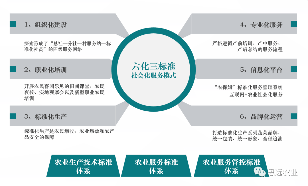 喜訊:思遠(yuǎn)農(nóng)業(yè)入選全國(guó)農(nóng)業(yè)社會(huì)化服務(wù)典型案例 詮釋標(biāo)準(zhǔn)化服務(wù)新高度